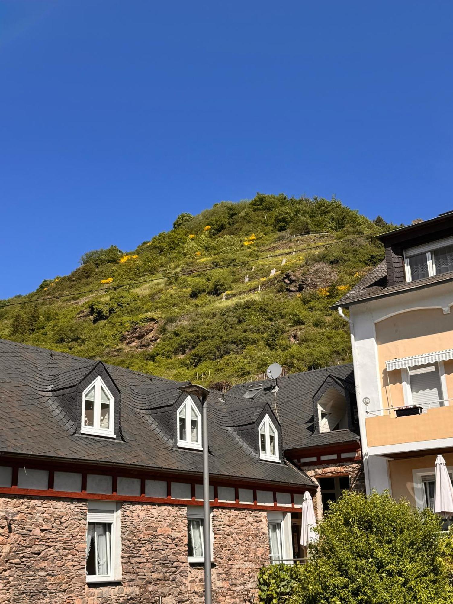 Ferienweingut Rudorfer Valwig Quarto foto
